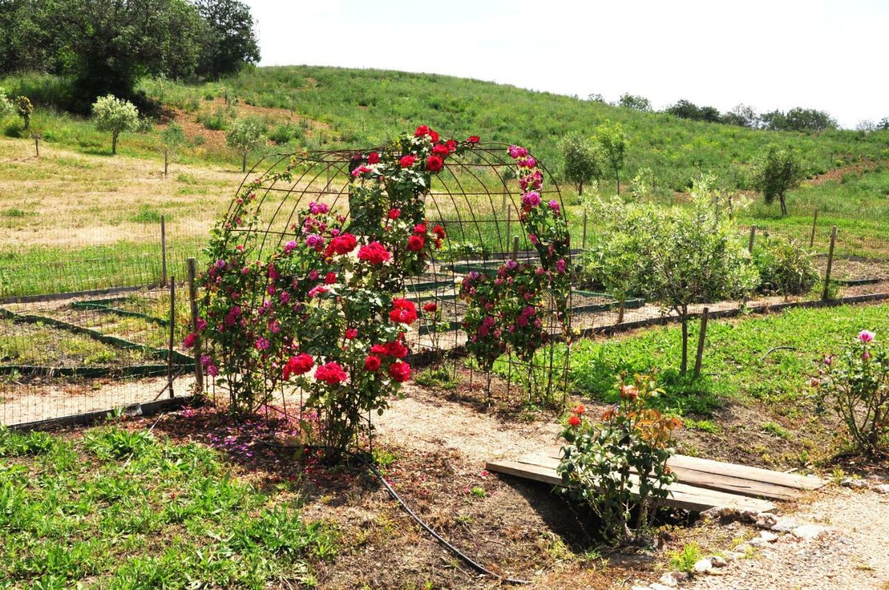 Montecristo Country House Манчано Екстериор снимка